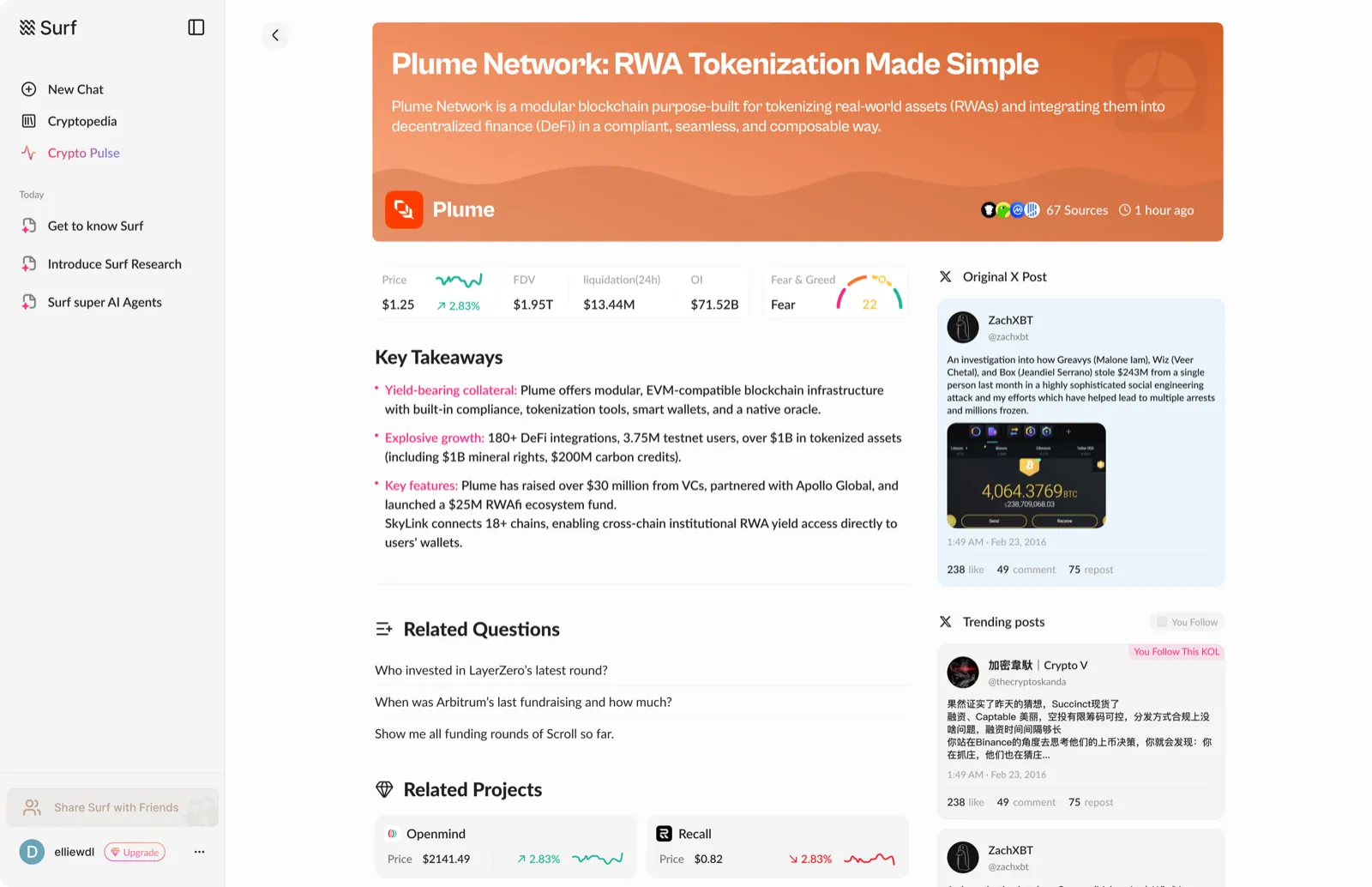 News Detail — light mode